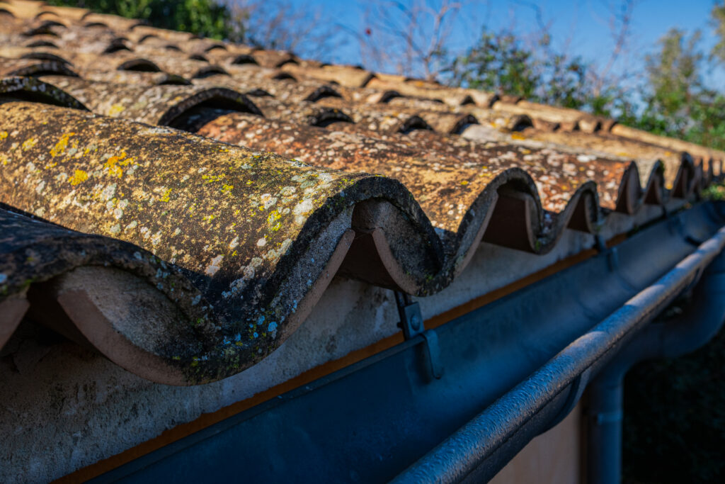 Old tiles overgrown with moss. Close-up photo of roof tiles of an old house.